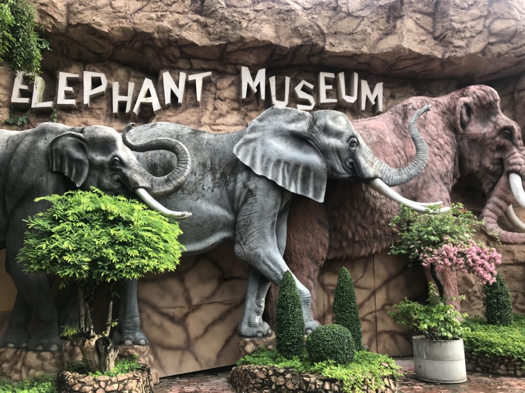 elephant_museum_at_sriracha_zoo
