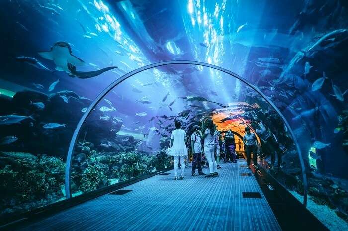 underwater-aquarium-in-dubai