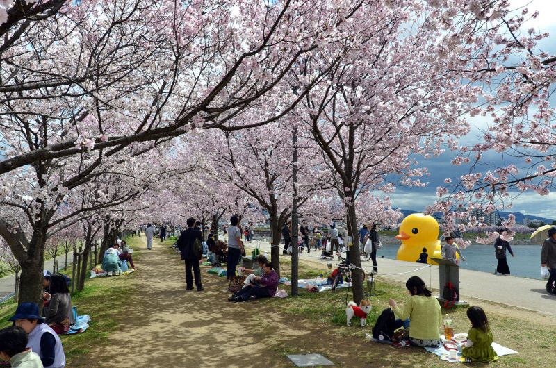 Osaka-Spring